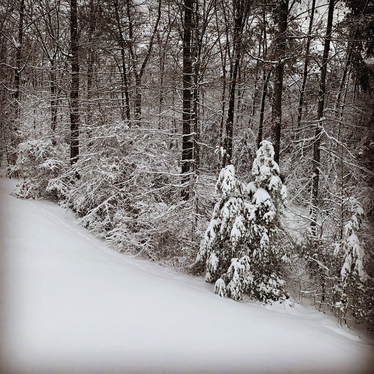 calistablack's tweet photo. Fresh Fallen Snow on the 1st Monday of 2022! 🌬💨🌨❄️☃️❄️⛄️❄️ New Year, New Day, Fresh Start! https://t.co/ju2tRVBZVj