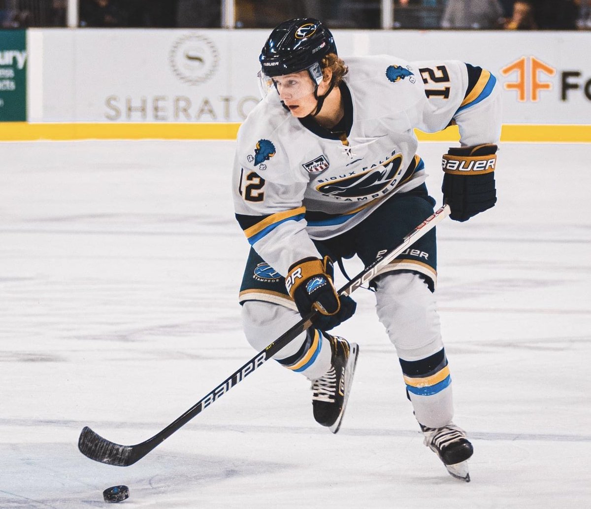 CCHockeyNews's tweet photo. Tigers landed a second commit over the weekend in forward Merril Steenari (Sioux Falls Stampede, USHL). 17 y/o from Aliso Viejo, CA was among the top scorers in 16U AAA (Anaheim Jr. Ducks) last season, now with Sioux Falls for his rookie year in the USHL. https://t.co/TkJP0iuc80