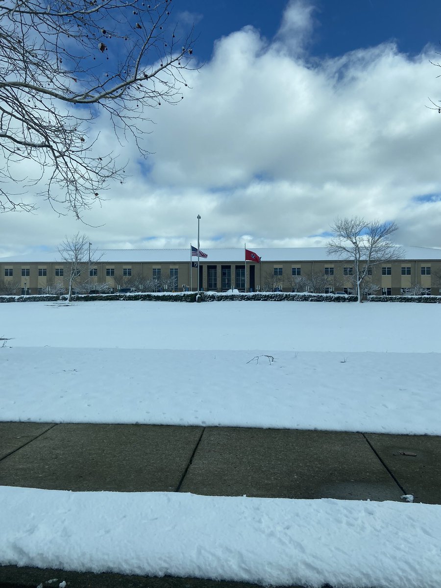 richard delbridge tweet media