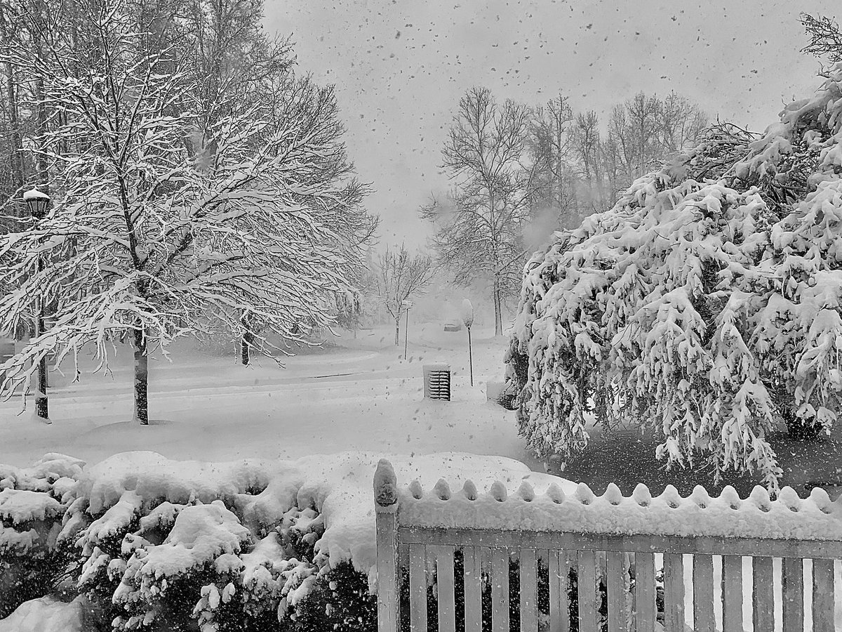 williamsvanessa's tweet image. I can’t believe I don’t have any popcorn, but you don’t have to tell me twice. 🙂#firstsnow #quarantinelife #sitdownsomewhere #stayathome