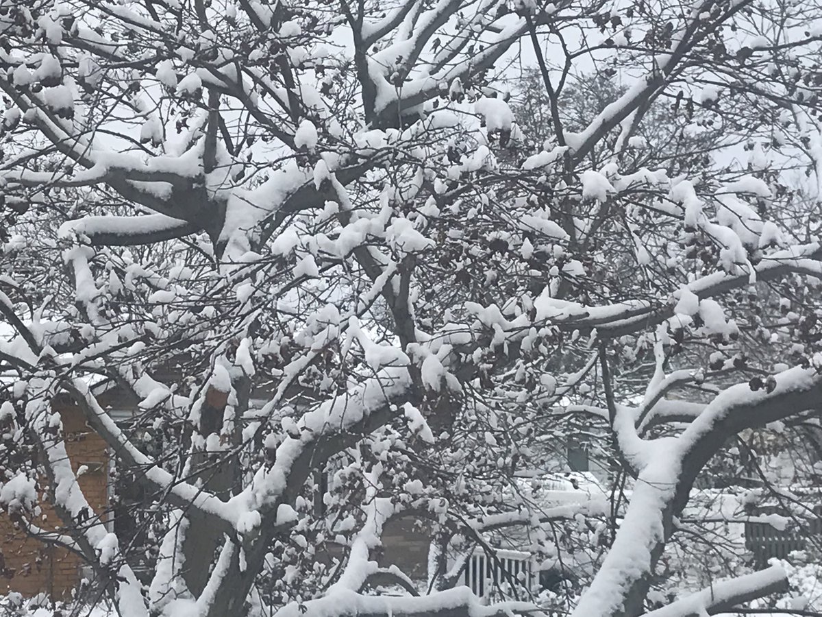 Lamont Williams tweet media