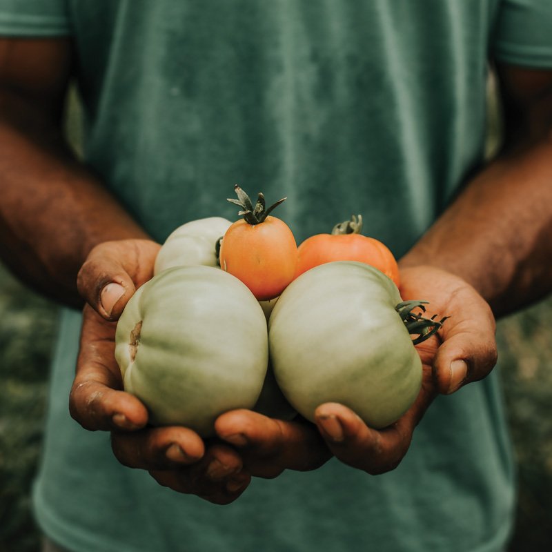 The Common Market Southeast tweet media