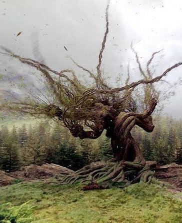 Birileri bugün şamarcı şöğüte zarar vermiş 😱 Şamarcı sögüte zarar verebilen bize neler yapmaz
