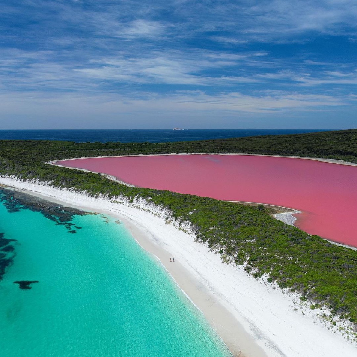 Australia's tweet photo. Pretty in pink! ๐
Kudos to IG/mkz.imagery for capturing the contrasting colours of #LakeHillier in @WestAustralia's @Golden_Outback.
#seeaustralia #thisiswa #goldenoutback #holidayherethisyear https://t.co/D17sgH8jeU