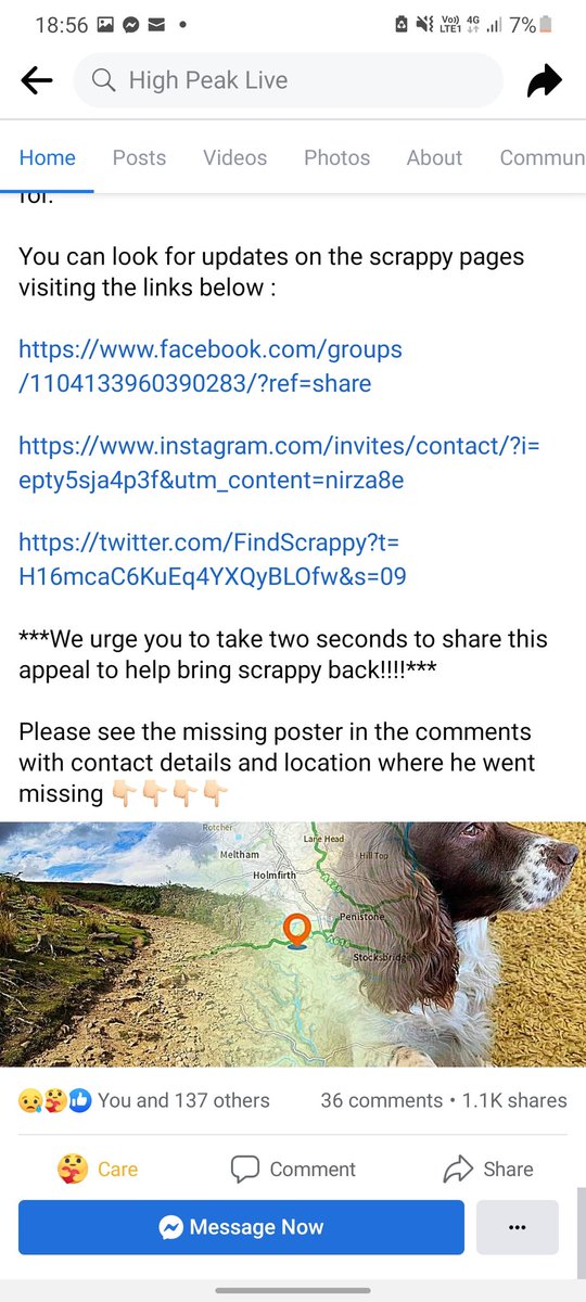 You Guys!! This community, you're doing it. Word is spreading. 

High Peak Live have done an post on Scrappy and he will be mentioned on BBC Sheffield Radio! We are slowly pushing forwards, Thank you so much! Keep sharing this boy! 

Thank you to Jake for creating this post.