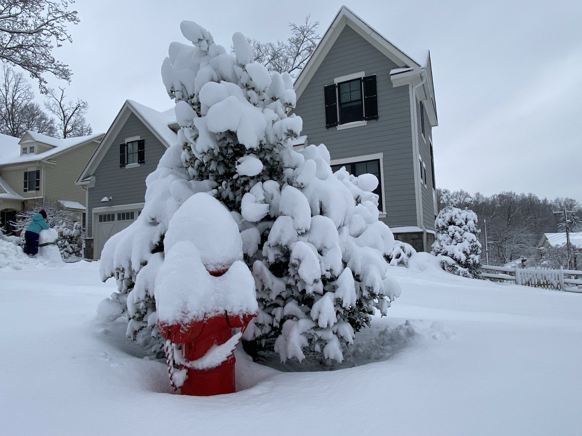 Hey ⁦<a href="/suepalkafox5dc/">Sue Palka DC</a>⁩ We had almost 8” in my yard in #ViennaVa #fox5snowday ⁦⁦<a href="/TownofViennaVA/">Town of Vienna, VA</a>⁩ ⁦<a href="/caitlinrothfox5/">Caitlin Roth</a>⁩ #fox5dc
