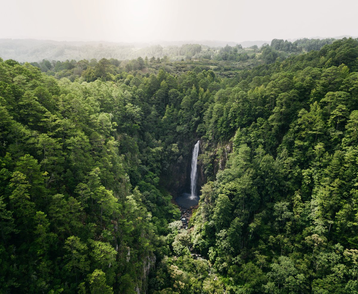 secretcentralam's tweet photo. New year = new adventure! ๐
If you're looking for a new destination to explore in 2022, Honduras is it! From jungle waterfalls to white sand beaches, this beautiful country has it all! Get inspired here ๐ https://t.co/BzD4Jcjcfa
#explorehonduras #visitcentralamerica https://t.co/rj3YuVyQ7n