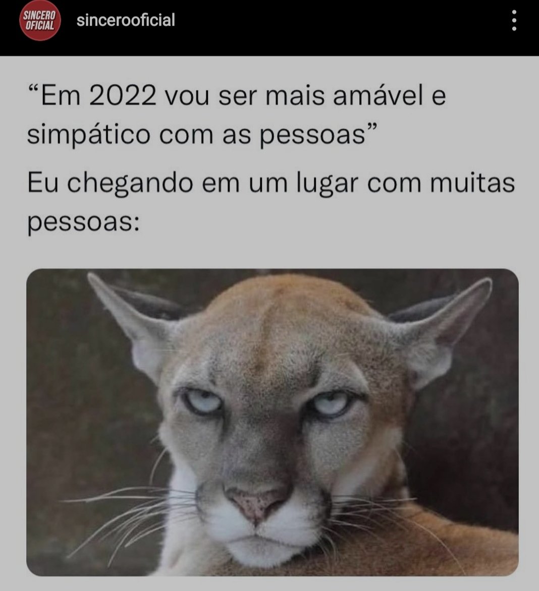 alinerads's tweet photo. Eu até tento 😌🤭 https://t.co/qWXEiNk1zy