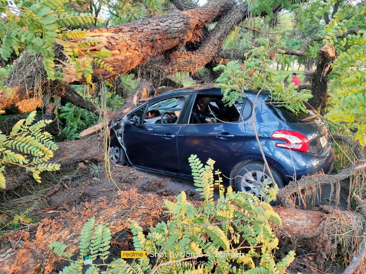 LaGacetaTucuman's tweet photo. Se cayó un árbol en el parque 9 de Julio y aplastó un auto https://t.co/WzF7BIPpfM https://t.co/ak0WODAe53