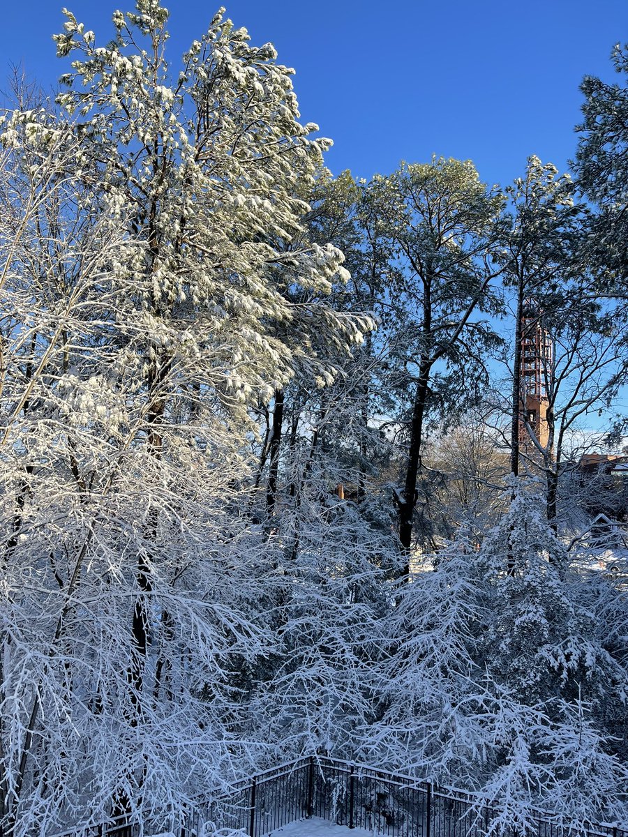 It was a gorgeous snowy day at Innsbrook @AndrewNBC12