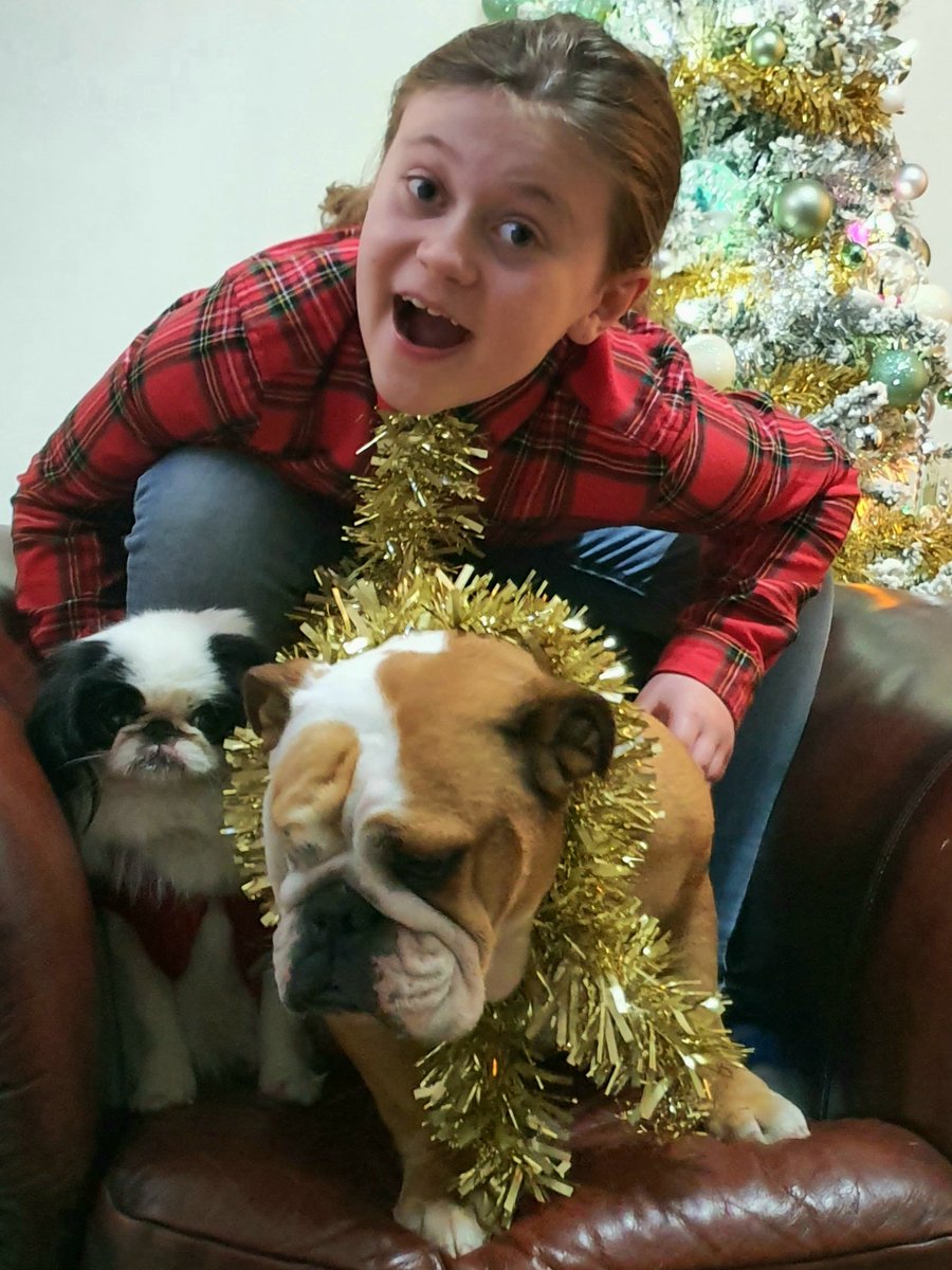 Jimmy_Winch's tweet photo. @AElleSmith These are my 2 silly Christmas dogs 🎅🎄🐕🤣🤣🤣 https://t.co/lM8XvoCVNg