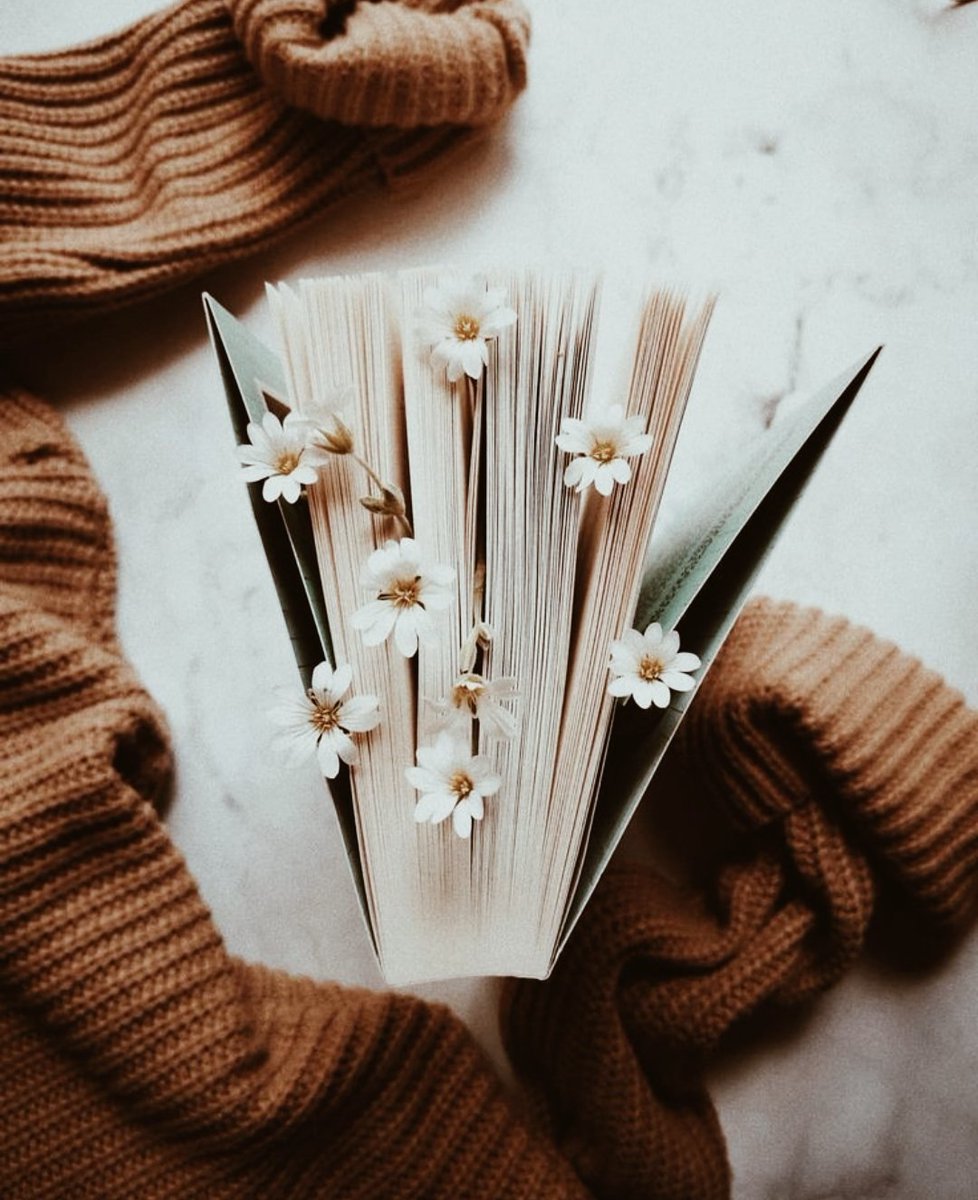 anybailarina's tweet photo. — livros lidos em 2022. 📚

“Eu vivi mil vidas e amei mil amores. Andei por mundos distantes e vi o fim dos tempos. Porque eu li.” https://t.co/wYNL4V5LRb