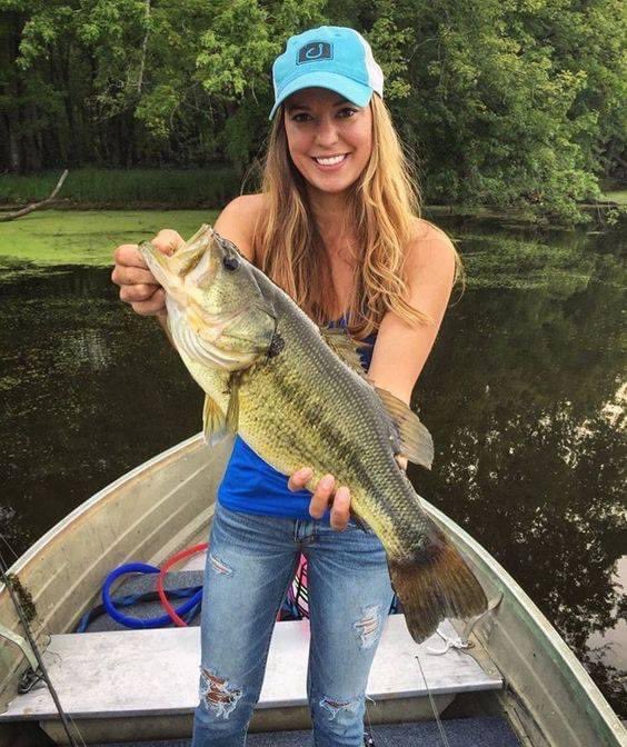 остроноска рыба. наплыв для сплавной сети. картинки на рабочий стол рыбалка. жареный сазан в казане по узбекски. крестовина для сплавной сети.