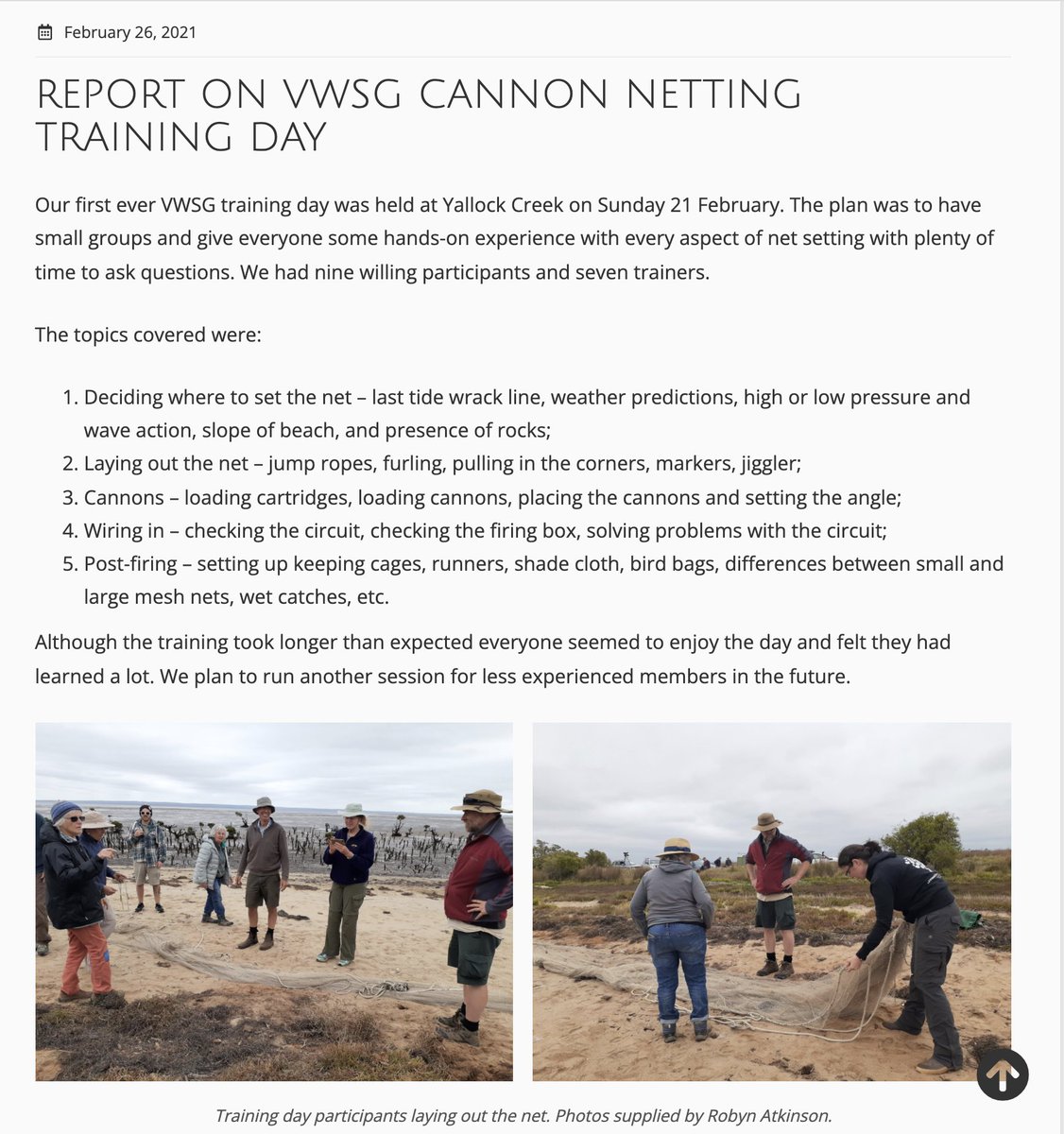 Victorian Wader Study Group tweet media