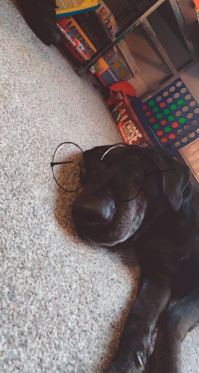 xx_taliaa's tweet photo. @VastGG The dog does pls🙏😅 https://t.co/AmWBafPyRA