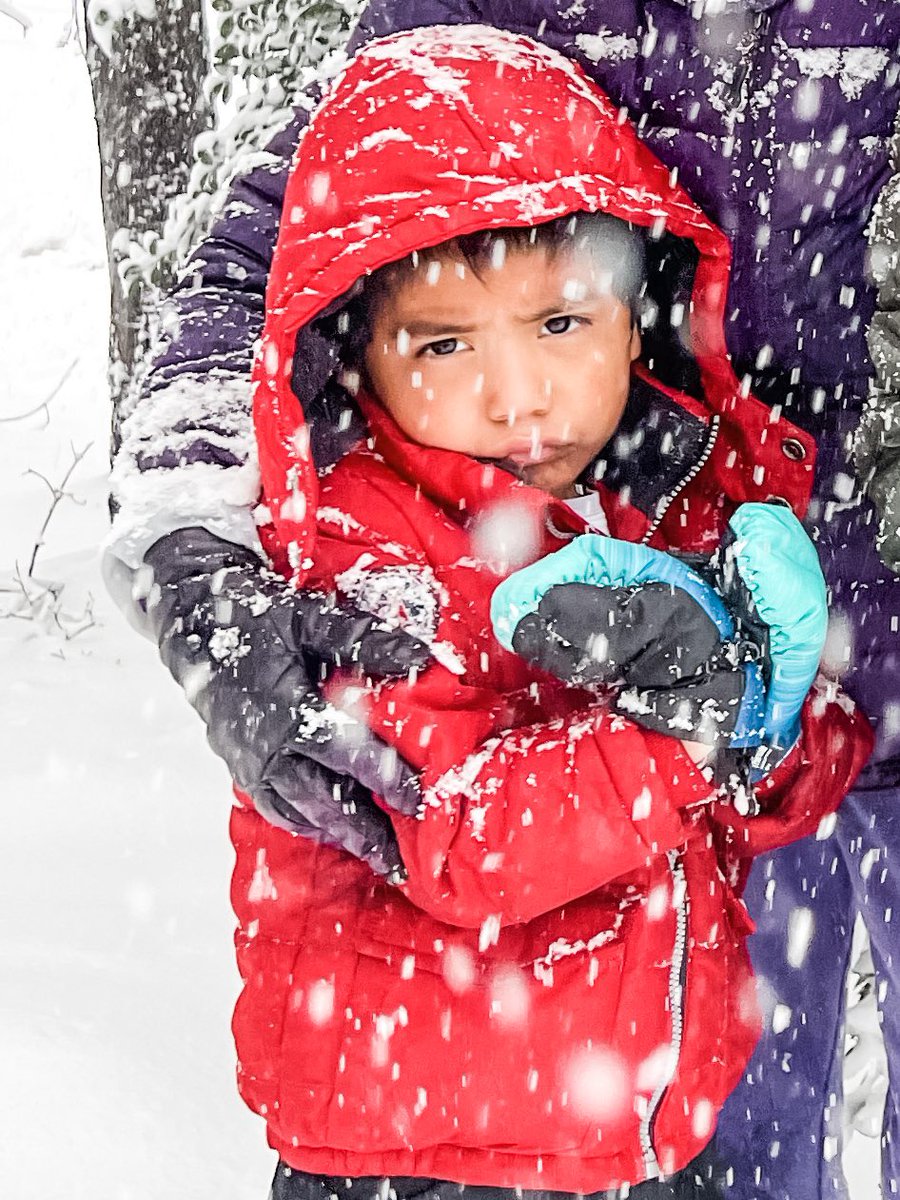 Susan F. Whiteside tweet media