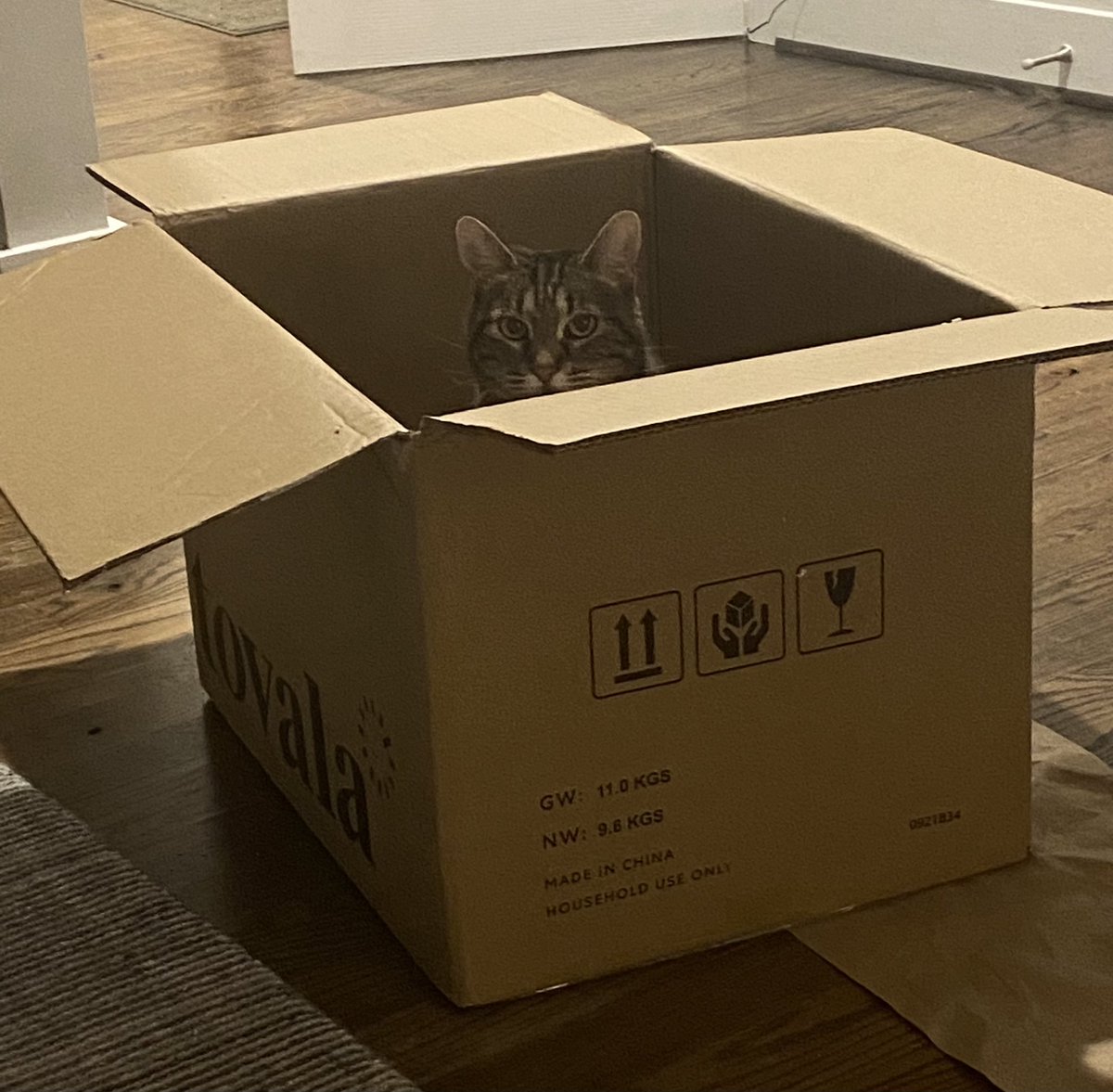 Someone’s excited for our new <a href="/tovalafood/">Tovala</a> oven.