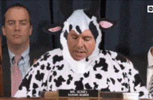 lofiprogressive's tweet photo. @kylegriffin1 @NBCNews Still don’t understand how that cow patty was able to run interference during the House hearings and play a role in the hearings himself. Absolutely obvious fraud. #indictNunes #traitorNunes Don’t forget @DevinCow is still fighting his fraudulent ass AFAIK. https://t.co/mlbOaZRXP6