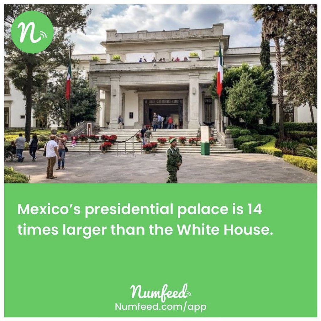 numfeed tweet media