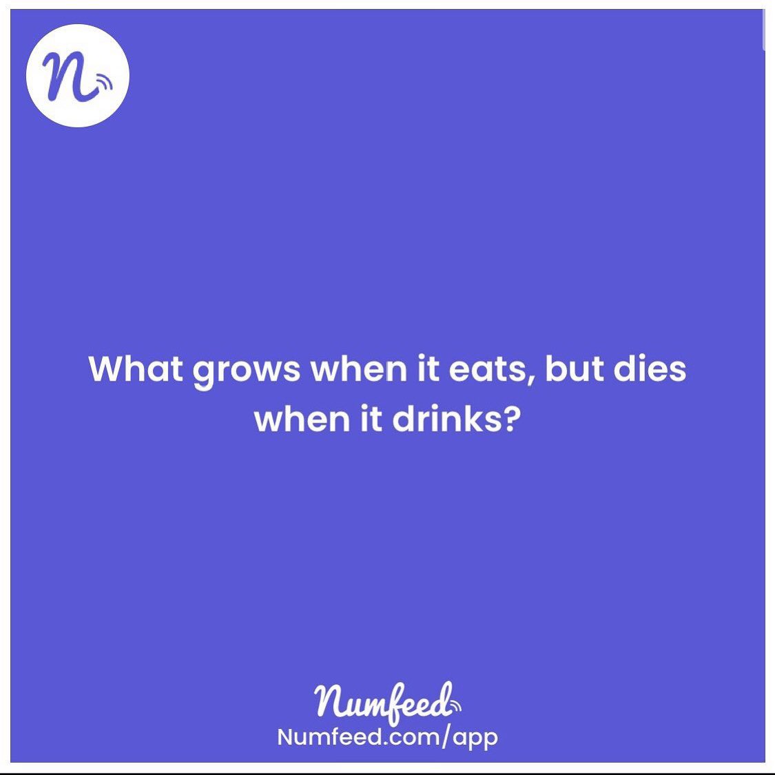 numfeed tweet media