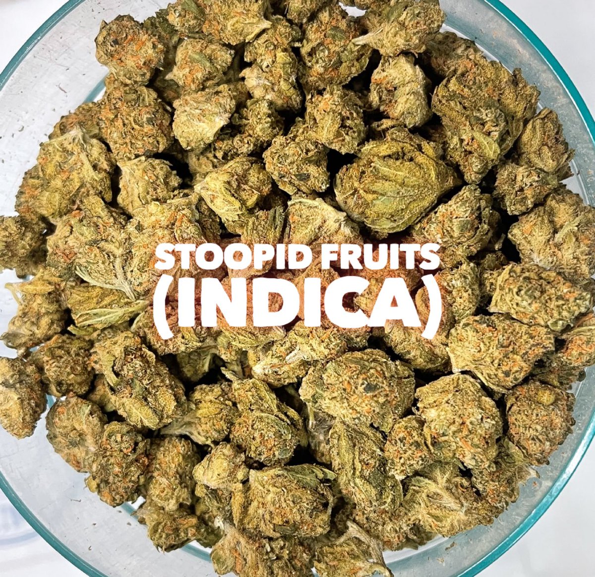 TucsonSaints's tweet photo. Natures Medicines Stoopid Fruits
(Indica) 💨 😴 https://t.co/gqPfnWqwgi