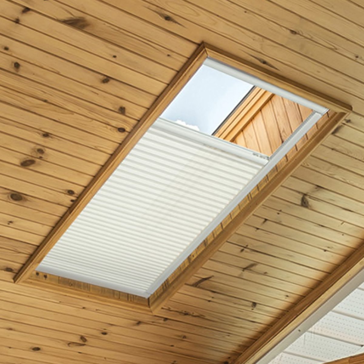 LWilliamsTeam's tweet photo. Skylight shades cover your skylights in stylish and functional ways. Here's everything you need to know.

Larry Williams| Realtor 
Real Living Kee Realty 
https://t.co/bvKScRdef0
210 W University Rd. Ste 4, Rochester,... https://t.co/1K9UfJm6Xj https://t.co/72LmX7g12j