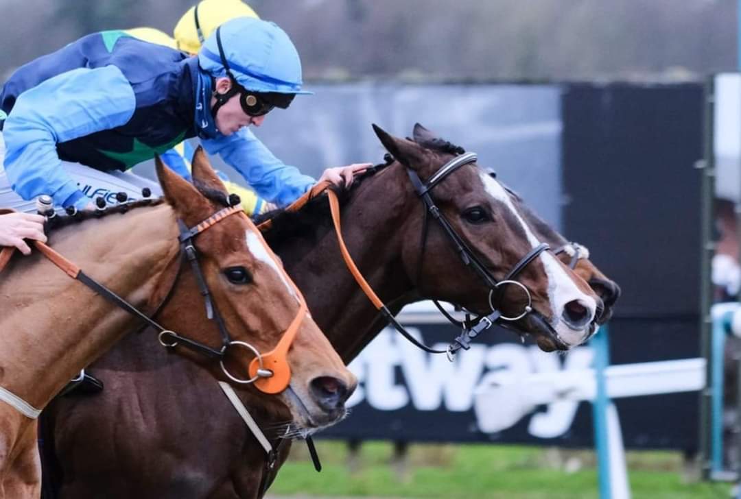 Robert Stephens tweet media