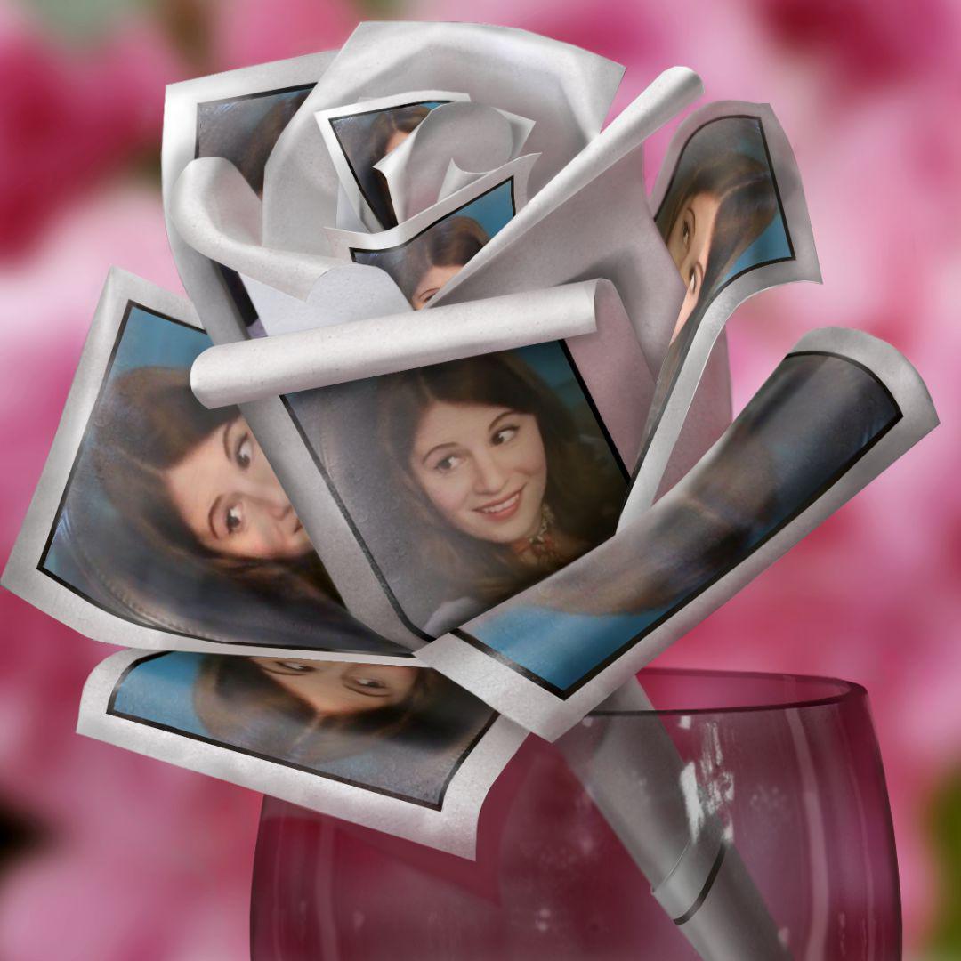 TrooperXY's tweet photo. #JanuaryDechART
Botanical
A paper rose made of Roses ๐น
#photolabpro #photoediting https://t.co/HE40kBKI0T