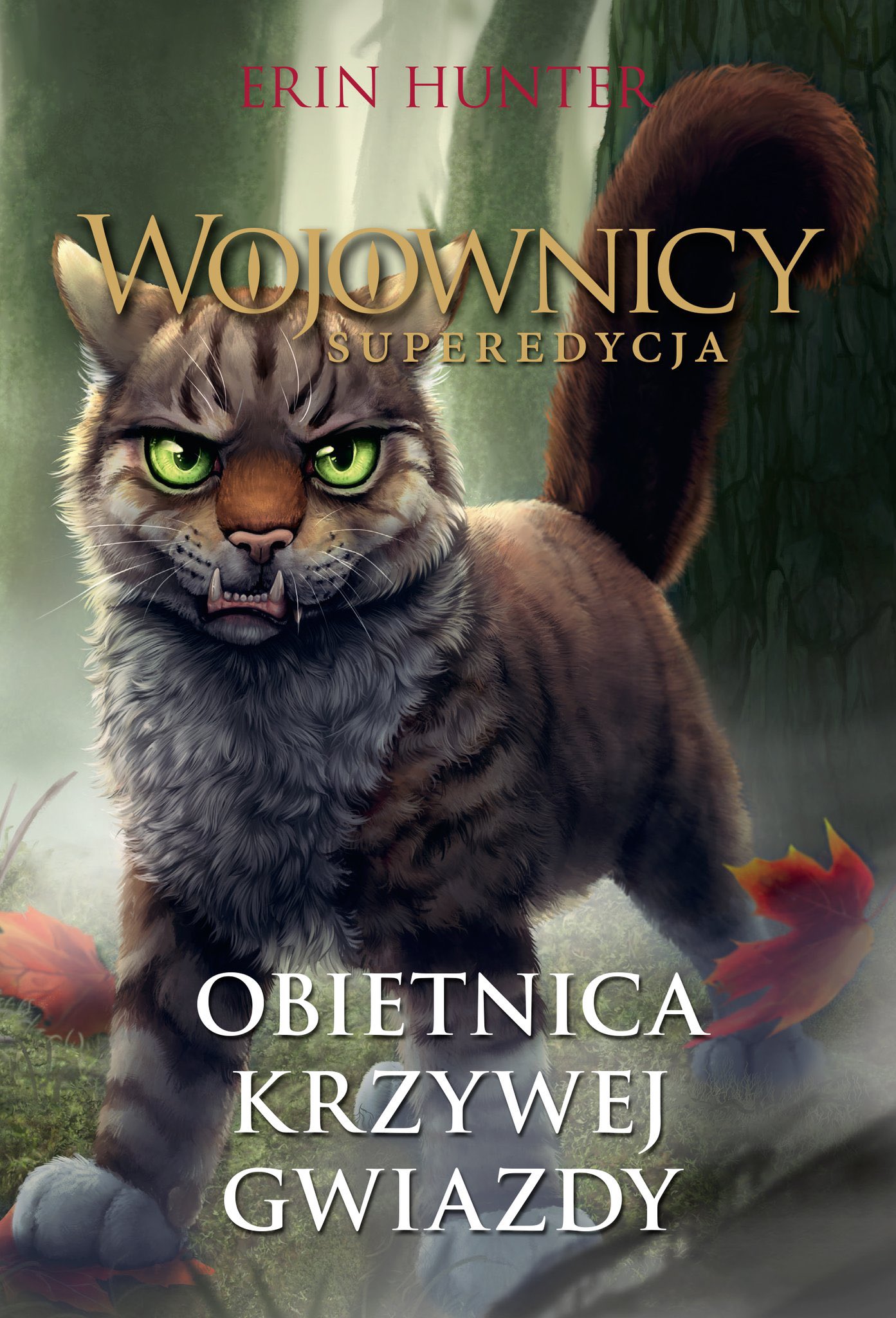 Warrior Cats Mews on X: First Polish Warriors book of the year will be  Crookedstar's Promise!  / X