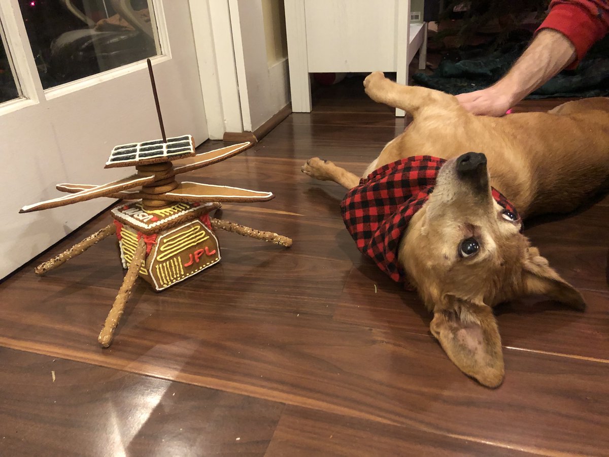 dandelany's tweet photo. Happy new year, nerds :) Please enjoy this gingerbread sculpture I made of Mars Helicopter Ingenuity (aka @GinnyHelicopter), featuring breadstick legs, sour gummy solar panels and a Pocky antenna. https://t.co/nHUnaxz6Fm