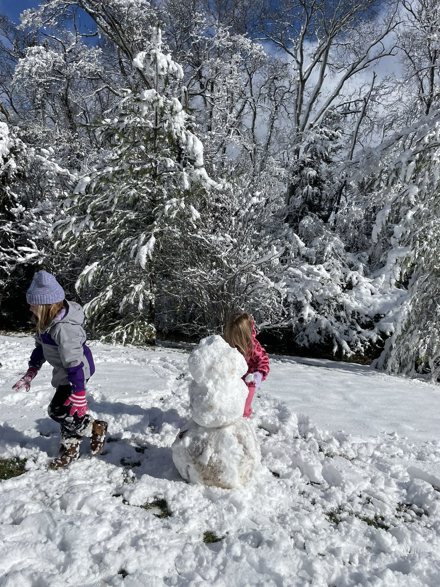 These pups had so much fun in the wintery weather! #plainviewSnowDay