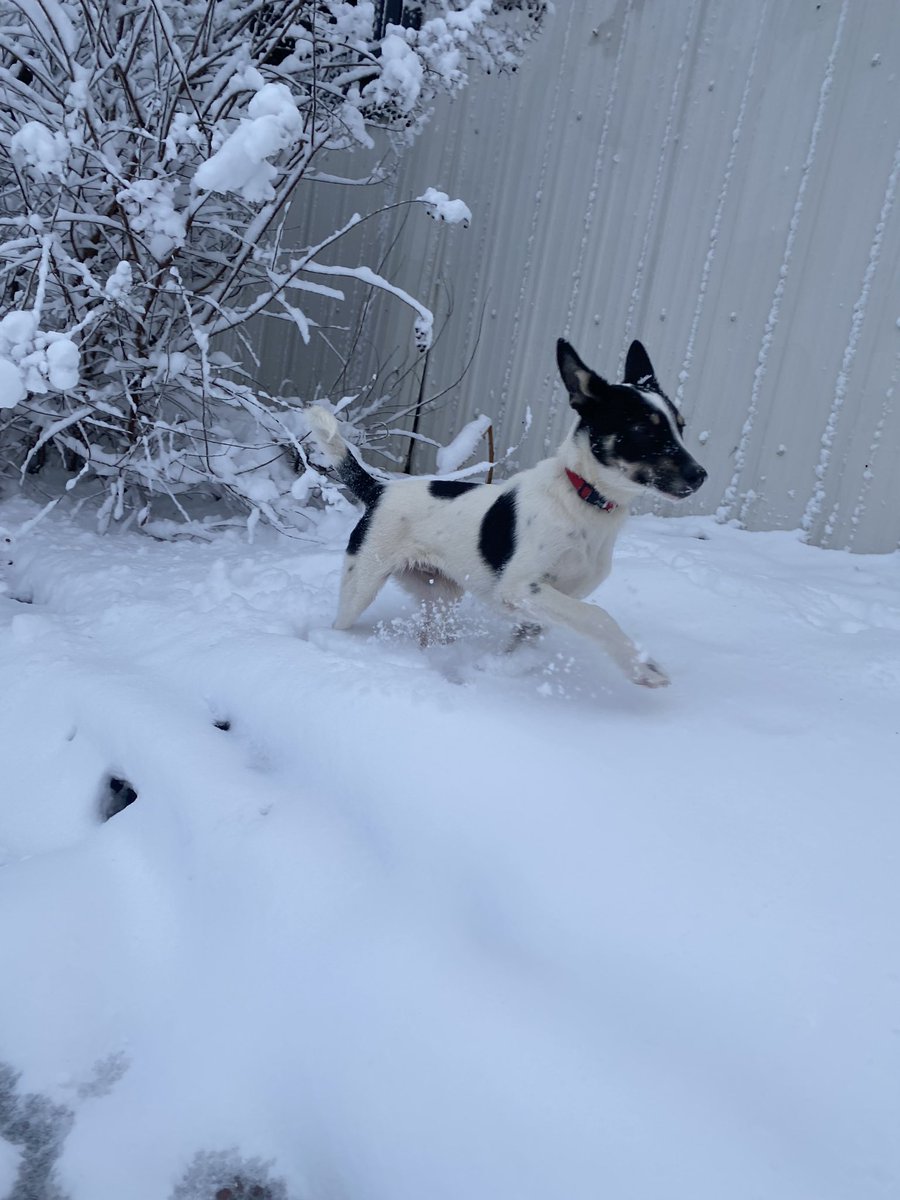 His first snow ❄️