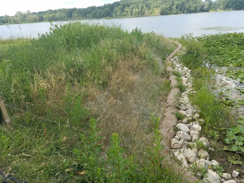 INFishWildlife tweet picture