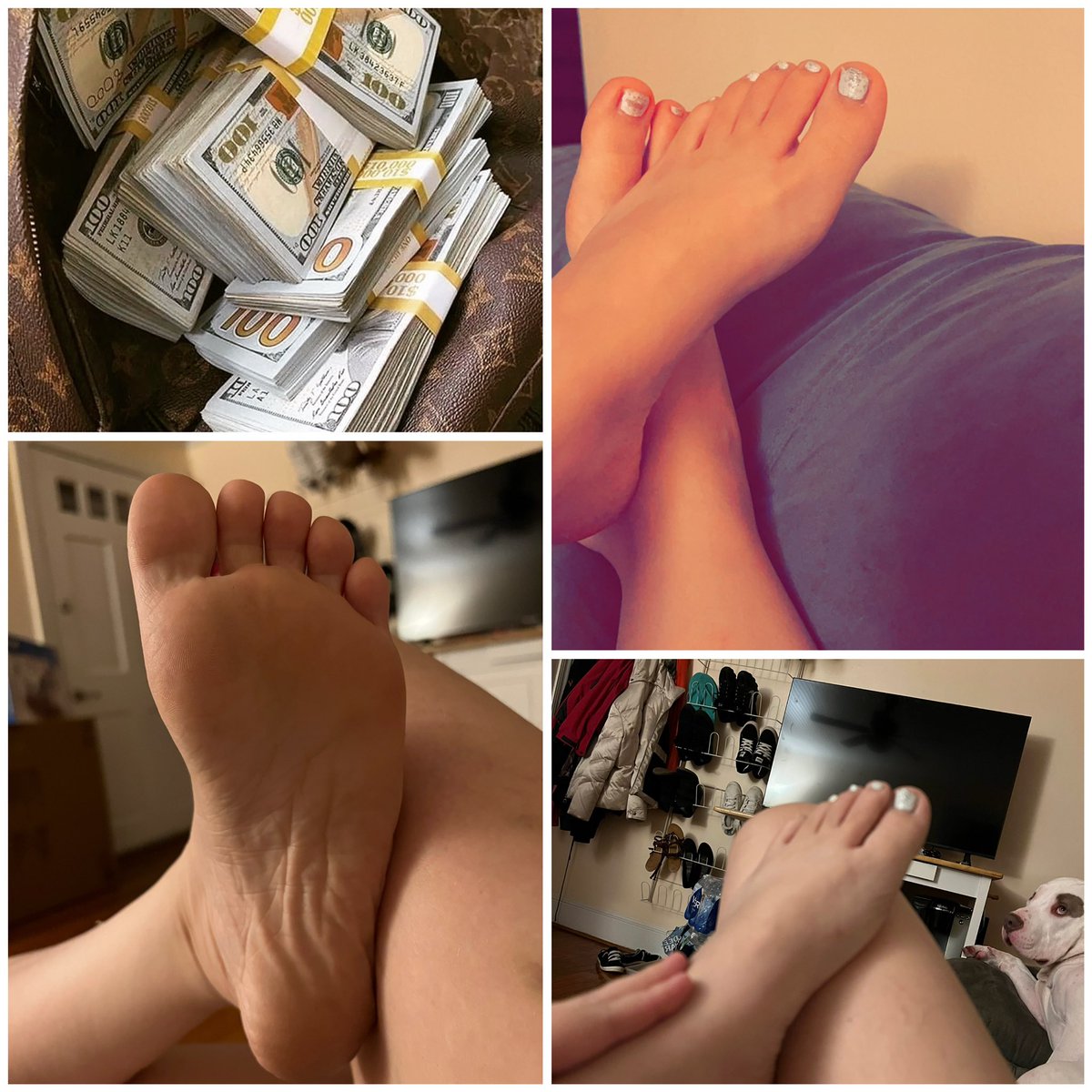 melaniefindom's tweet photo. #feet #paypig #findom #buycontent #cashcow #feetdomination #feetworshi̇p https://t.co/RghzMrbGMG