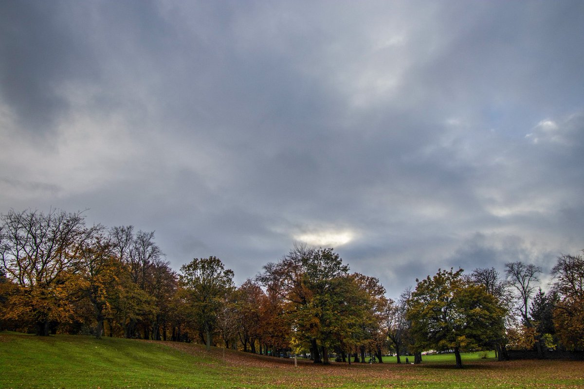 ephemeralisall's tweet photo. A grey and gloomy skyline with a small pocket of resistance from the enshrouded sun
#sky #skies #skiesOfTwitter #cloud #clouds #cloudporn #cloudsOfTwitter #photography #nature #naturePhotography https://t.co/XwBudqZl3Y