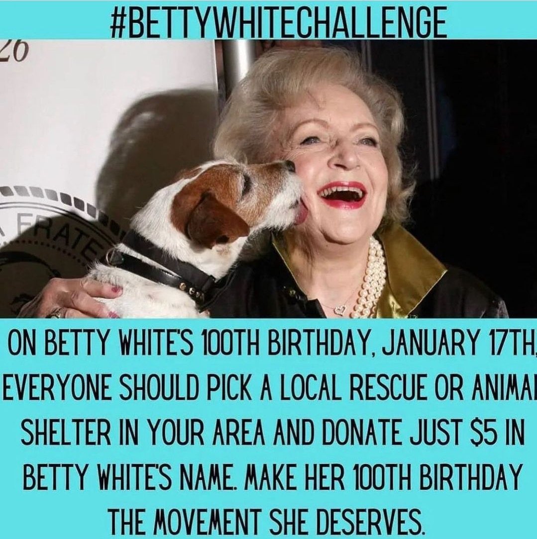 HesWayneD's tweet photo. I’m in!! You down for the #BettyWhiteChallenge? https://t.co/hRDY5EpKLo