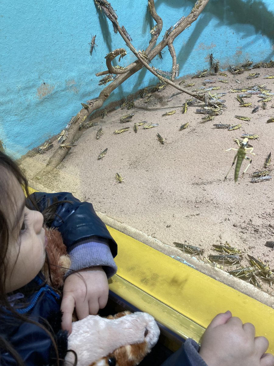 Dr Aisyah Faruk tweet media