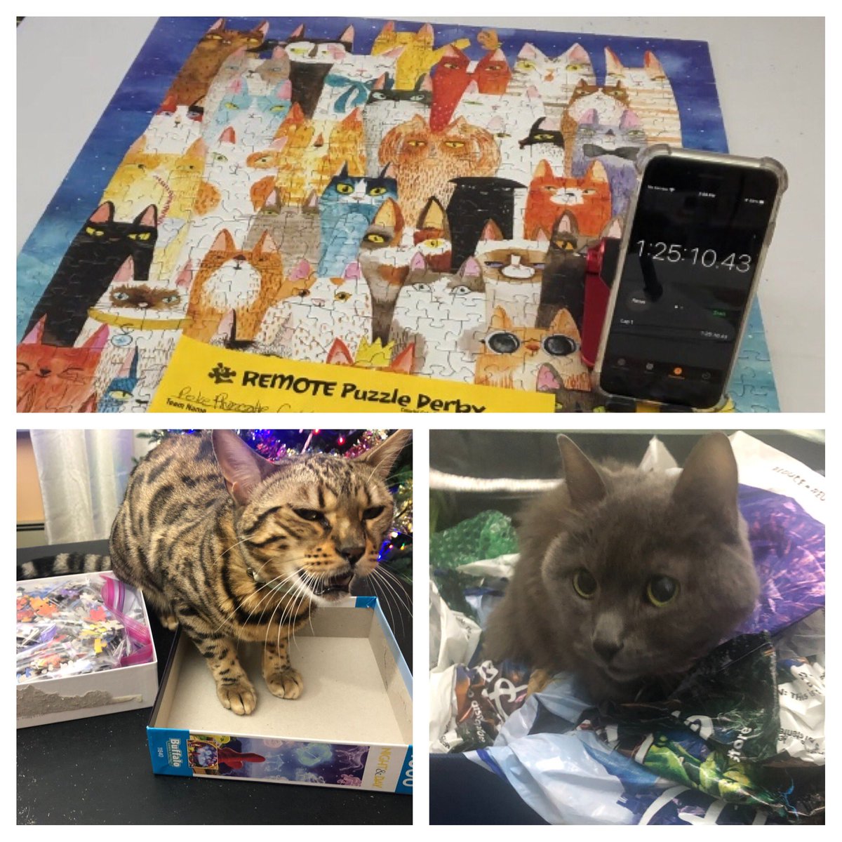 Poképuzzlecats strike with their finished puzzle!!!
<a href="/PuzzleTwist/">PuzzleTwist</a> #PuzzleTwist #JigsawPuzzleContest