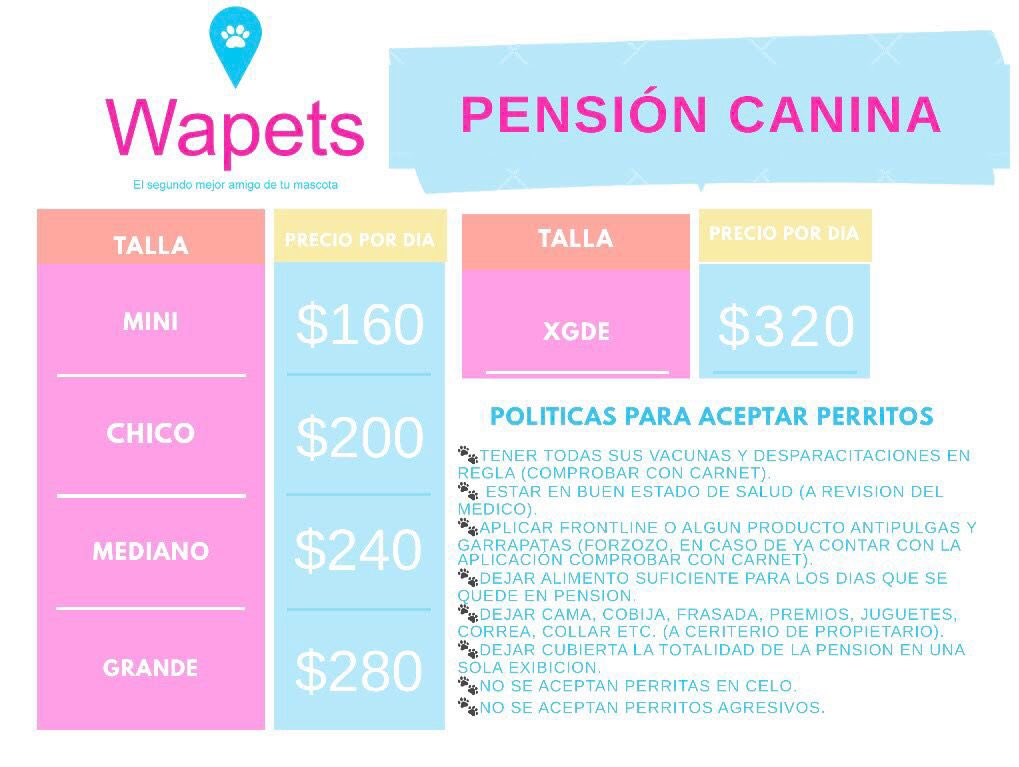 IrradiaMorelos's tweet photo. DENUNCIAN A “WAPETS” POR SUPUESTO ESCAPE DE PERROS
La pensión canina #Wapets de Cuernavaca informó que varias mascotas entregadas en pensión se les “escaparon”. 
Una de los ejemplares es un ChowChow valuado en 15 mil pesos.
La responsable es María Guadalupe Pacheco Adán. https://t.co/CizOFK3B2a