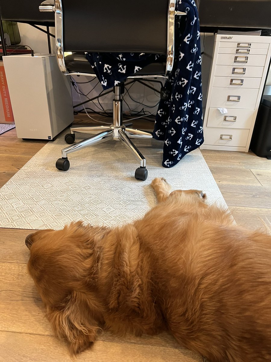 jennylayfluffy's tweet image. Grateful for an amazing break but excited to get stuck back in today! 

2021 was a cracking year for #accessibility. In awe of the many people, teams, companies and partners that moved mountains forward. 

Let’s move a few more in 2022. 
#BetterTogether
#DogsKnow