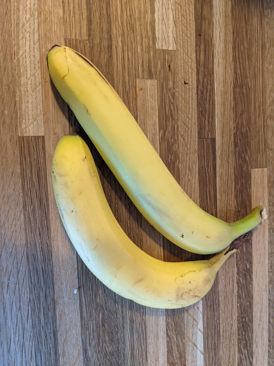 This is a fairly large banana. Banana for scale.