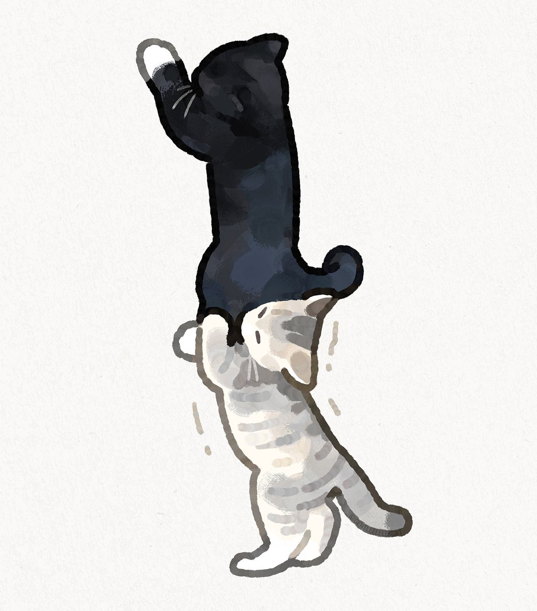 gentleeeeeeecat's tweet photo. teamwork! https://t.co/wmw8qoyfMf