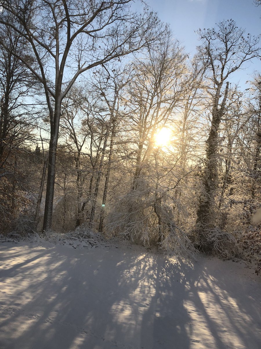 wthrnay's tweet image. Catonsville MD. 4”#WinterStorm #januarysnow #winterstormfrida #winterlight #snowstorm