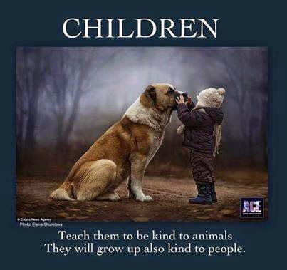 domdyer70's tweet photo. So very true https://t.co/az8DGhDUyv