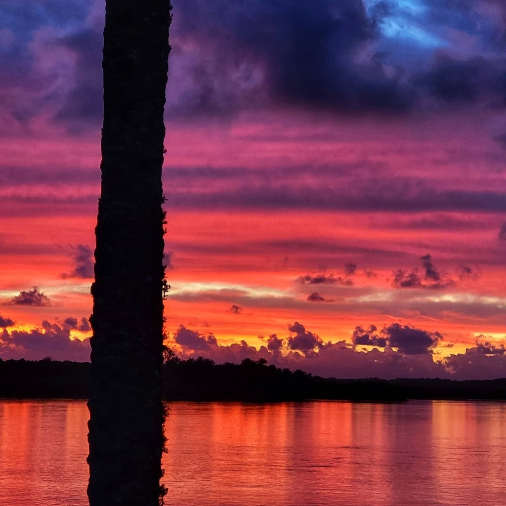 showmetechbru's tweet photo. E esse amanhecer, hein? Morere e Boipeba vão deixar saudades ❤️ #mareh2022 #morere #boipeba https://t.co/OZO0w0UkxN https://t.co/OOnimxHPce