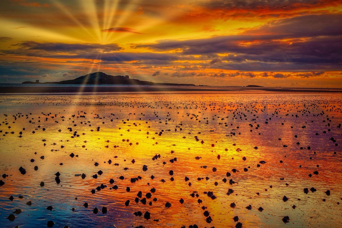 howthadventures's tweet image. The early bird catches the worm! Cracking shot by 📸 Padraic Reid at Burrow Beach in Sutton #dublincoastaltrail #howth #Sutton #Dublin @PhotosOfDublin @dublin_county @VisitDublin @dublinbiosphere @PictureIreland @DiscoverIreland @TourismIreland