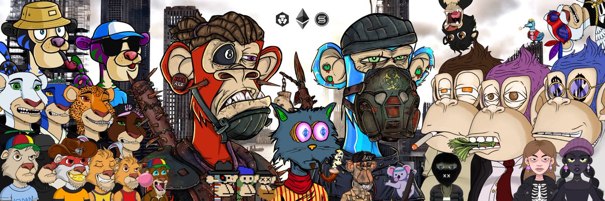 BeachLTC's tweet photo. #NFTs are changing the game and I’m here for it 💯. Here are the projects in my party! @apocalypticapes @BasicBoredApe @BabyLionsClub @BACryptoPaint @LadyLionsNFT @CryptoChimpzNFT @PsychoKittiesOG @Weirdpeoplenft @TypicalTigerNFT @RebelKidsParade @Solana_Ducks @Solana_Ducks https://t.co/TuWbiK166T