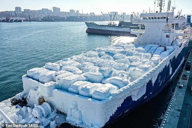 SawyerMerritt's tweet photo. Frozen ship delivers ICE cars covered in ice. https://t.co/FphqVuDuVw