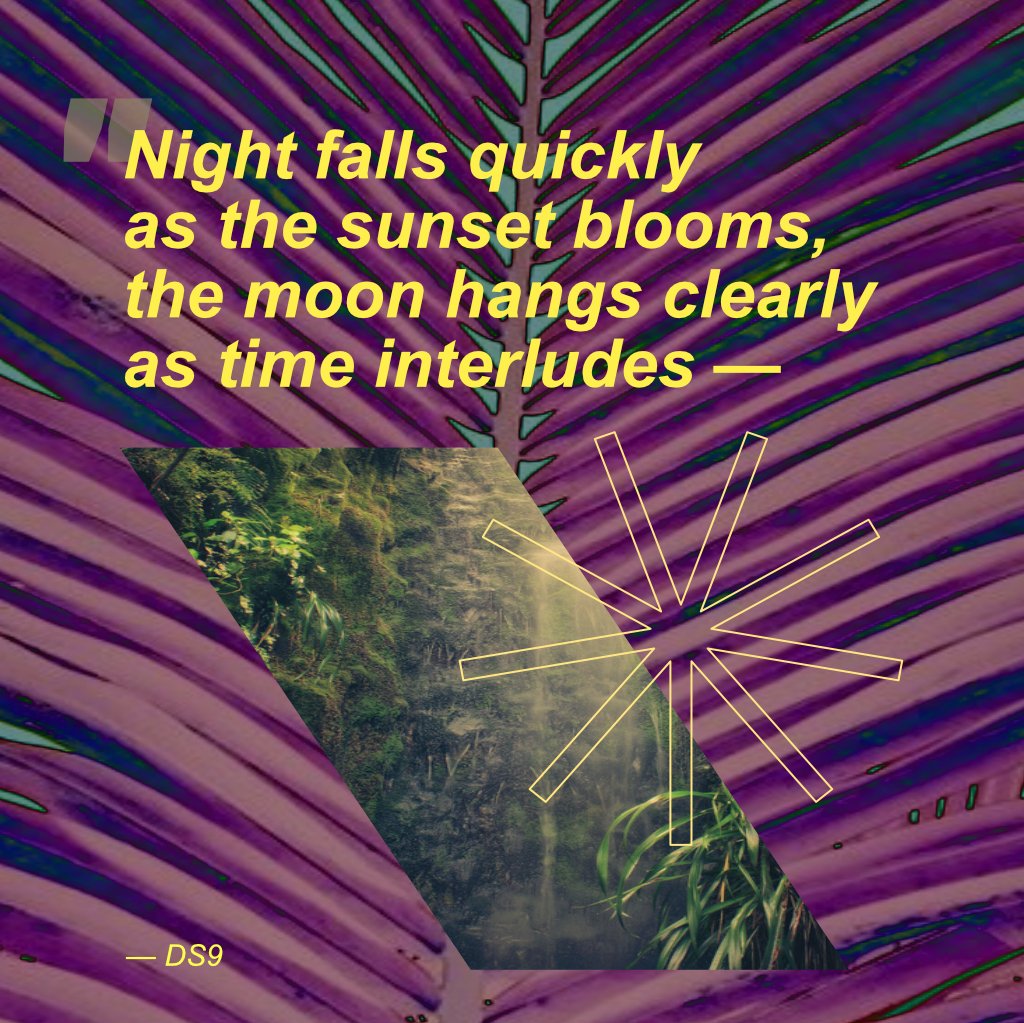 "Night falls quickly
as the sunset blooms,
the moon hangs clearly
as time interludes — "
— ds9
#haiku #words #WritingCommunity