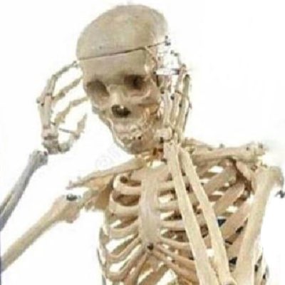 AlpacaWolves's tweet image. #NewProfilePic